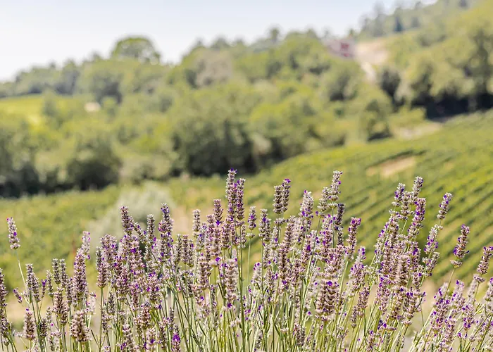 Villa Chateau La Siroque *